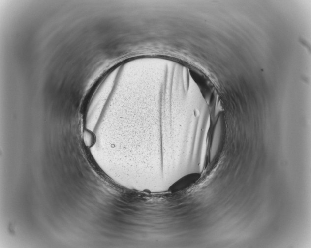 X0000094931509200712201041