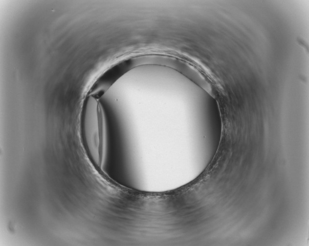 X0000094931512200712201041