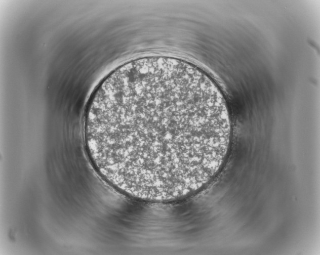 X0000094931514200712201041