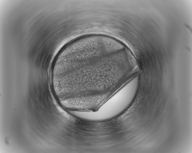 X0000094931515200712201041