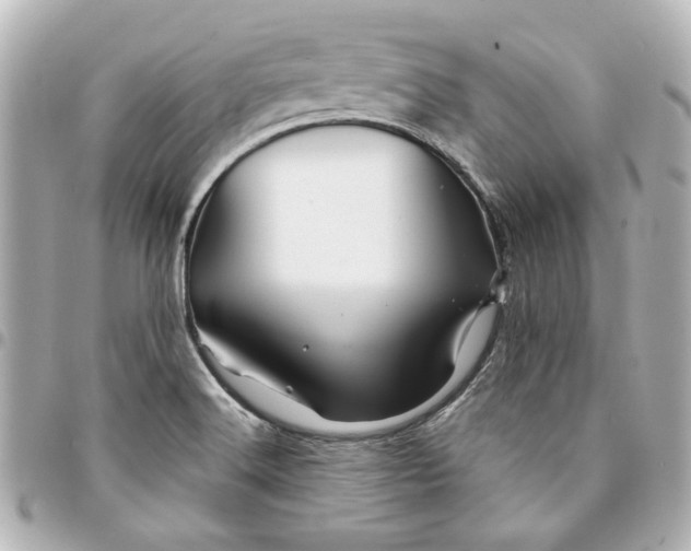 X0000094931516200712201041