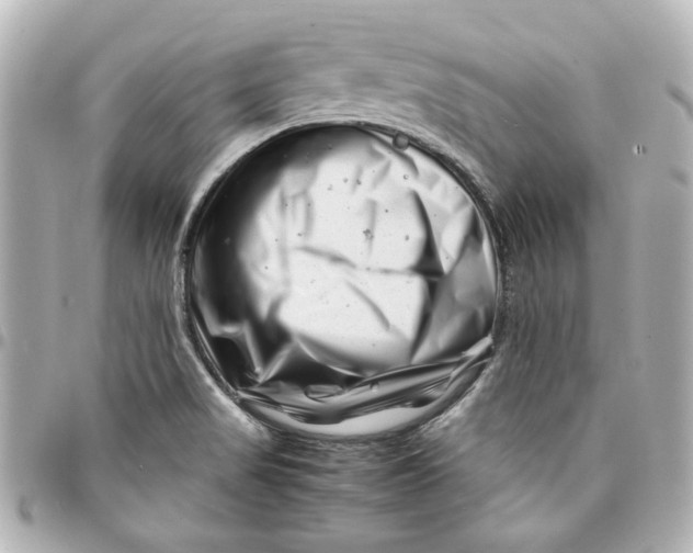 X0000094931517200712201041