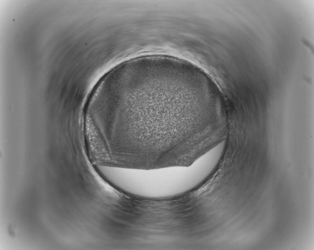 X0000094931519200712201041