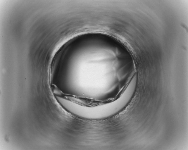 X0000094931520200712201041