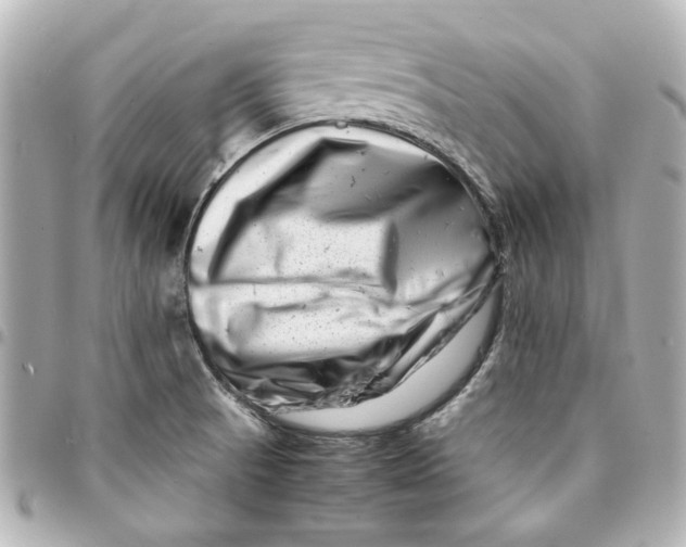 X0000094931521200712201041