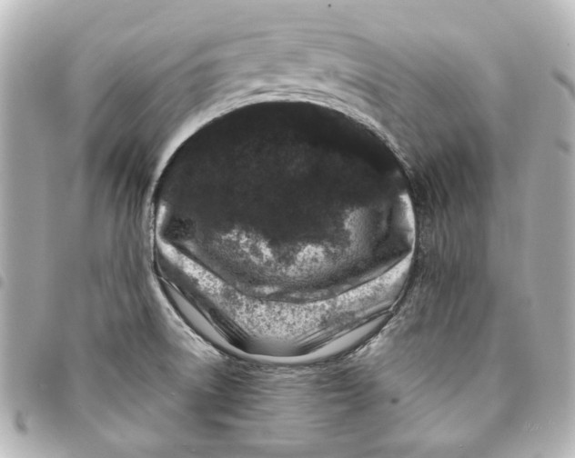 X0000094931522200712201041