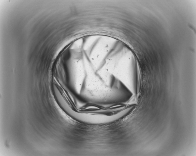 X0000094931523200712201041