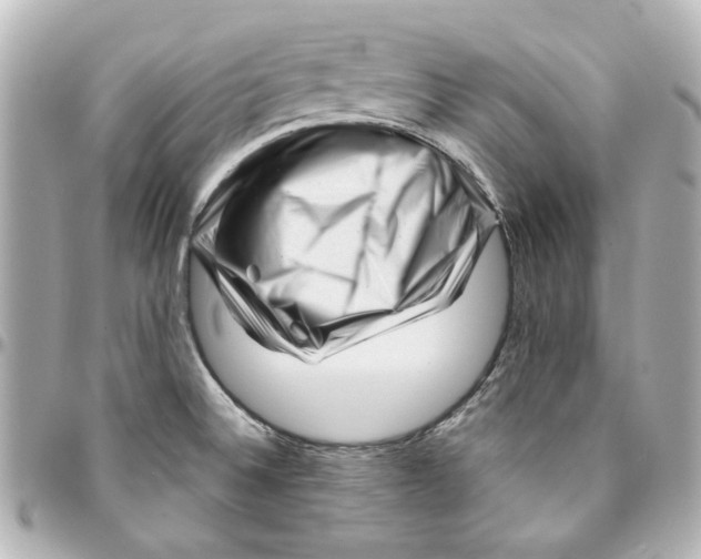 X0000094931524200712201041