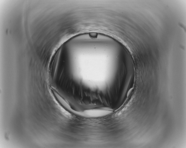 X0000094931525200712201041