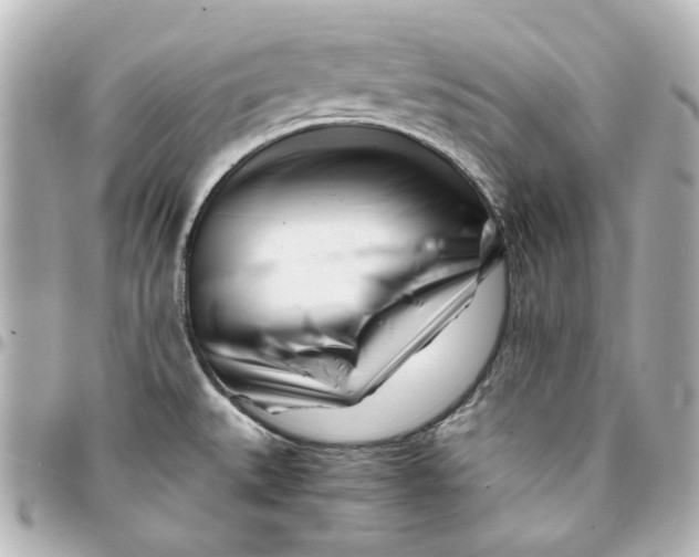 X0000094931527200712201041