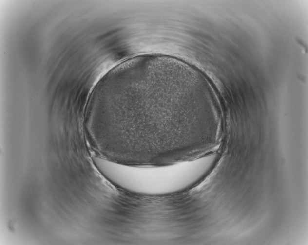 X0000094931529200712201041
