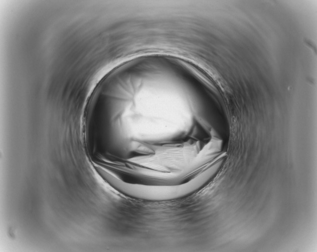 X0000094931535200712201041