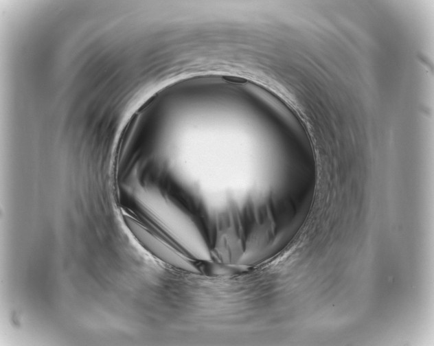 X0000094931536200712201041