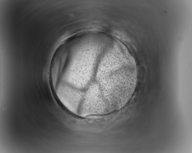 X0000094930003200712271602