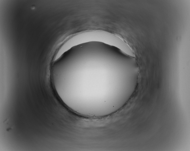X0000094930005200712271602