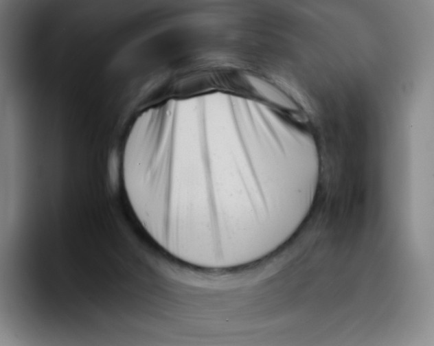 X0000094930014200712271602