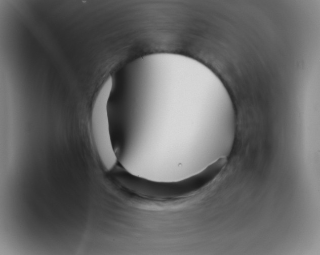 X0000094930017200712271602