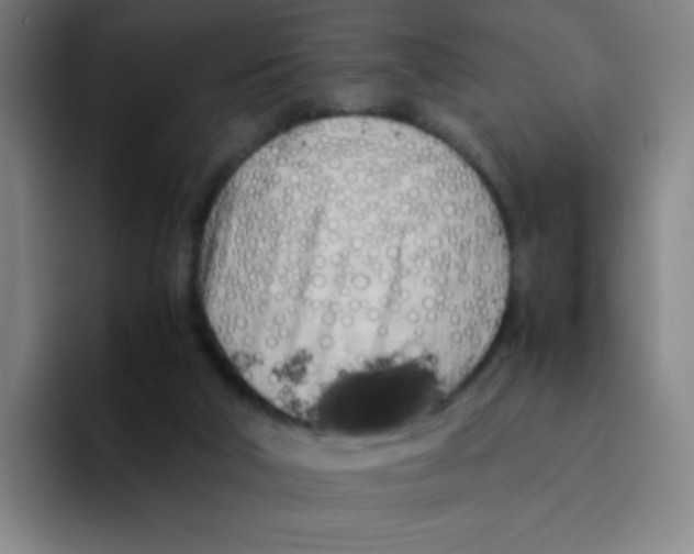 X0000094930018200712271602