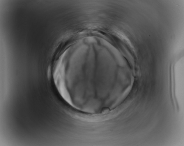 X0000094930019200712271602