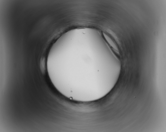 X0000094930020200712271602