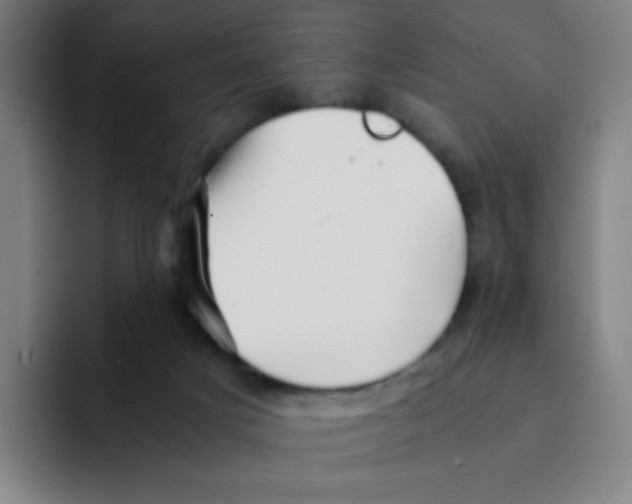 X0000094930025200712271602