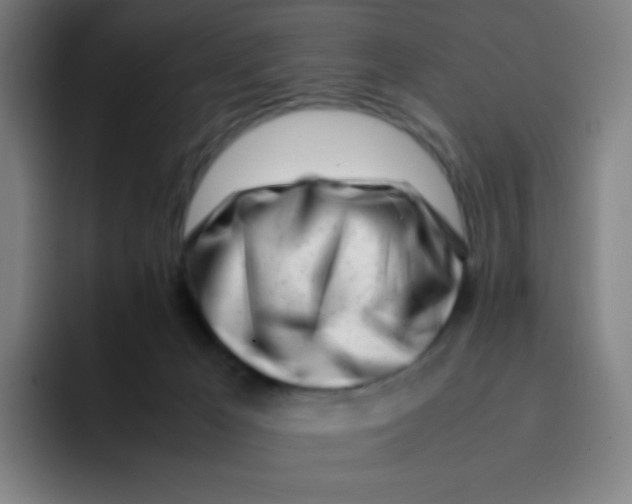 X0000094930029200712271602