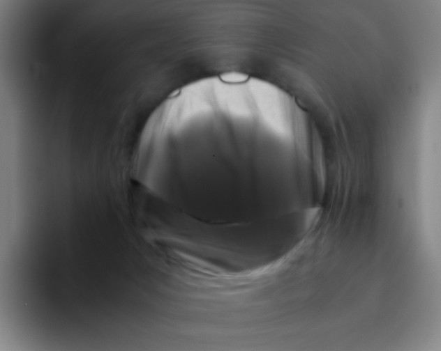 X0000094930031200712271601