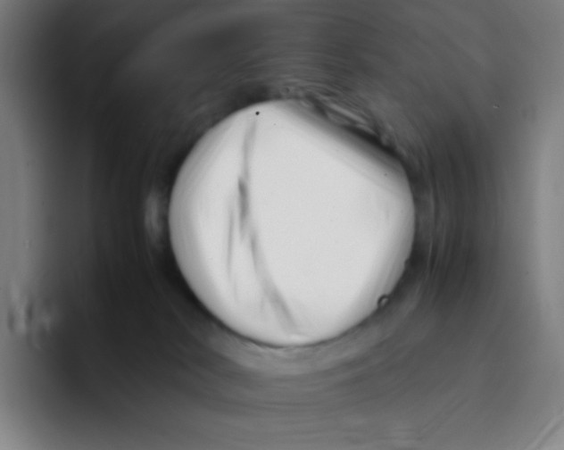 X0000094930038200712271601
