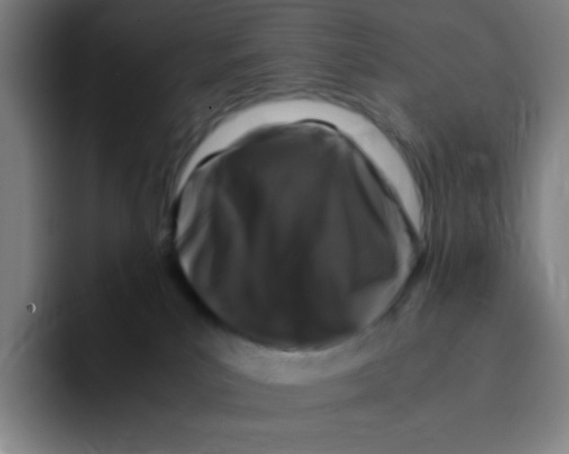 X0000094930039200712271601