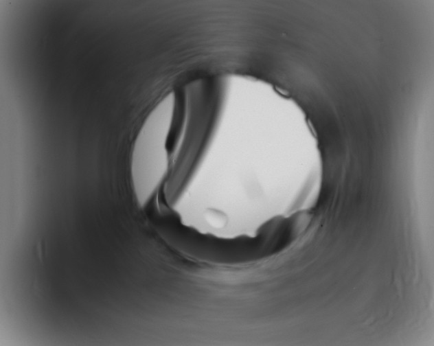 X0000094930041200712271601