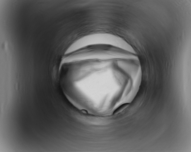 X0000094930044200712271601