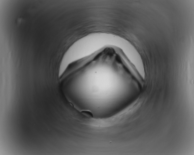 X0000094930045200712271601