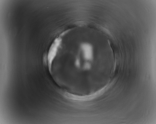 X0000094930047200712271601