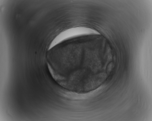 X0000094930048200712271601