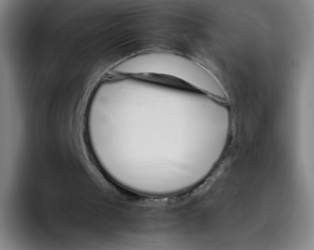 X0000094930049200712271601