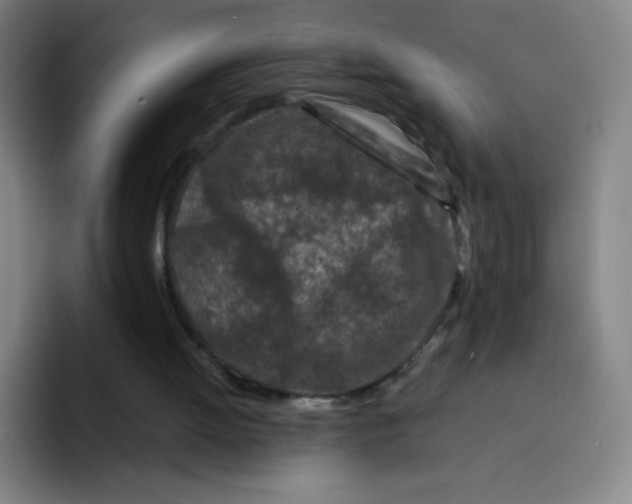 X0000094930052200712271601