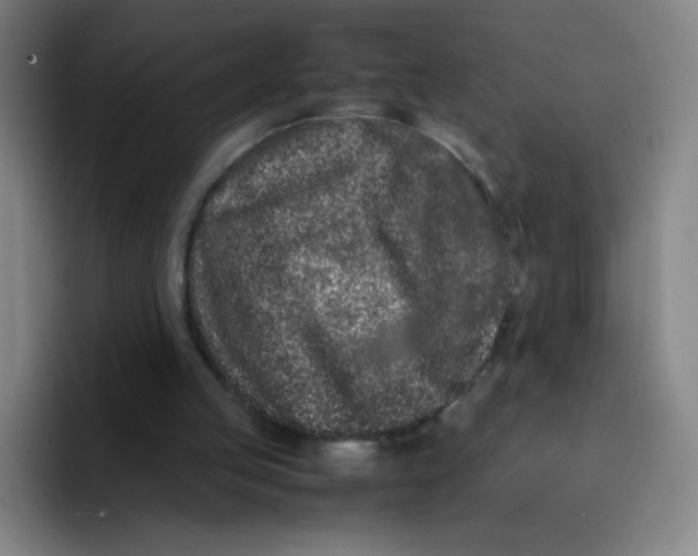 X0000094930053200712271601