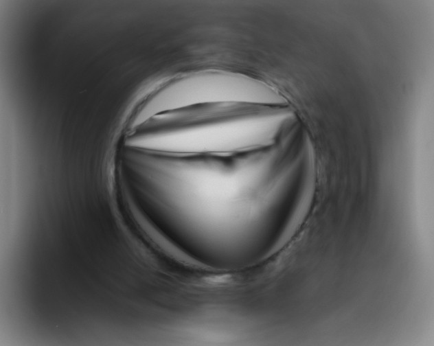 X0000094930054200712271601