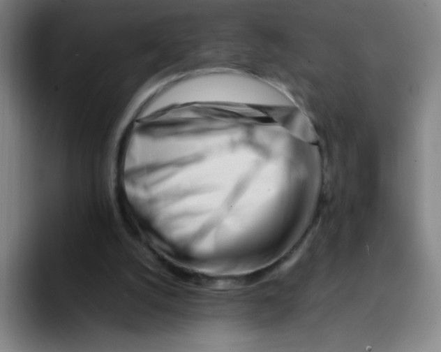X0000094930056200712271601