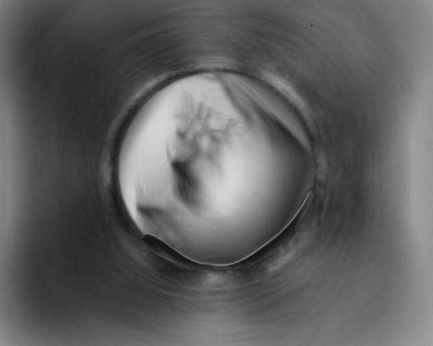 X0000094930060200712271601