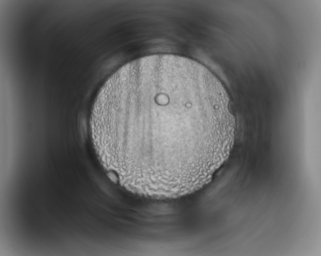 X0000094930061200712271601