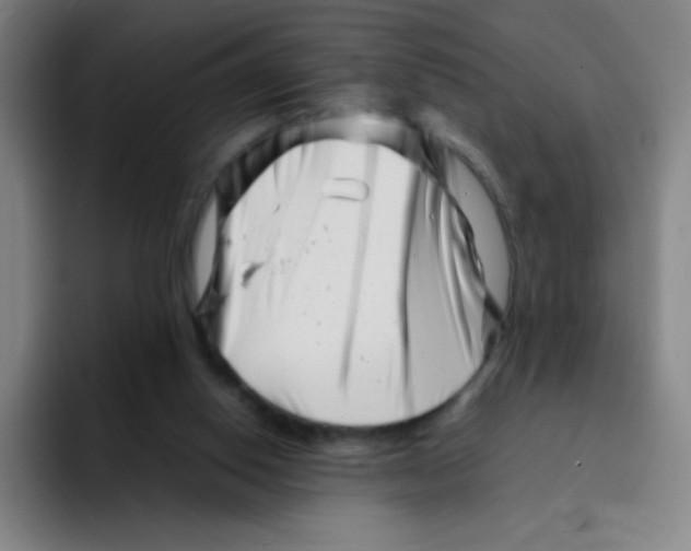X0000094930062200712271601
