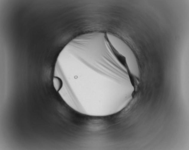 X0000094930066200712271601