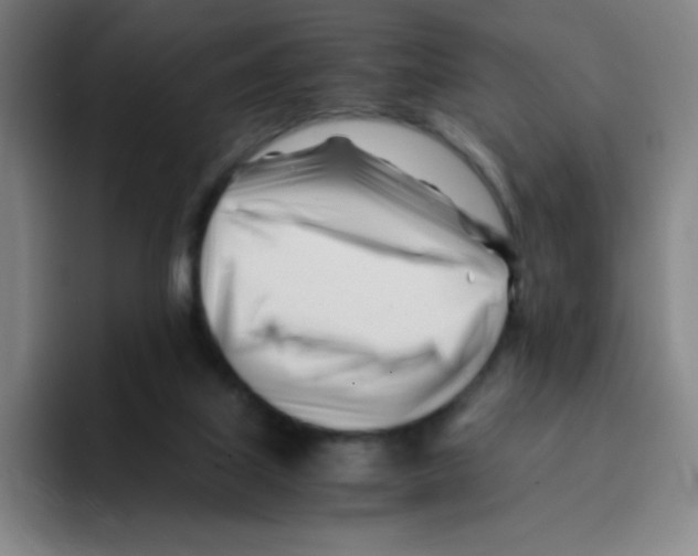 X0000094930067200712271601