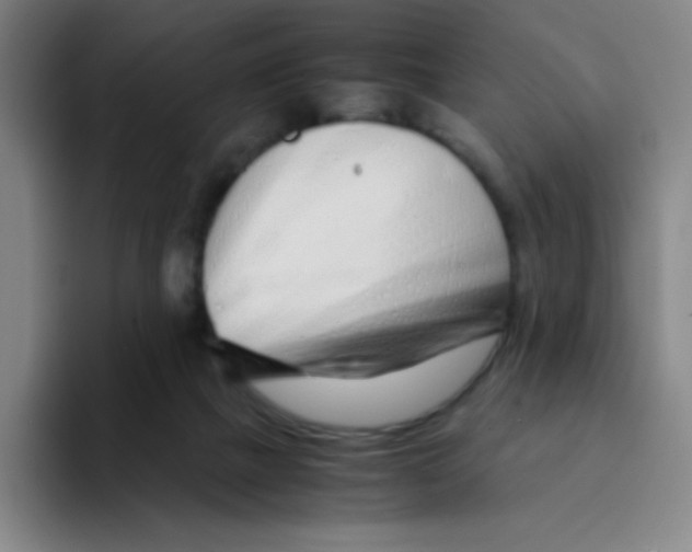 X0000094930073200712271601