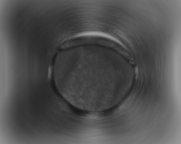 X0000094930076200712271601