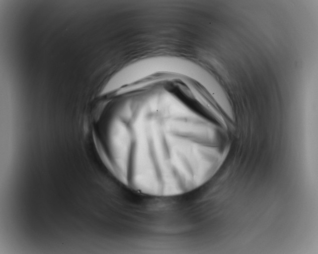 X0000094930077200712271601
