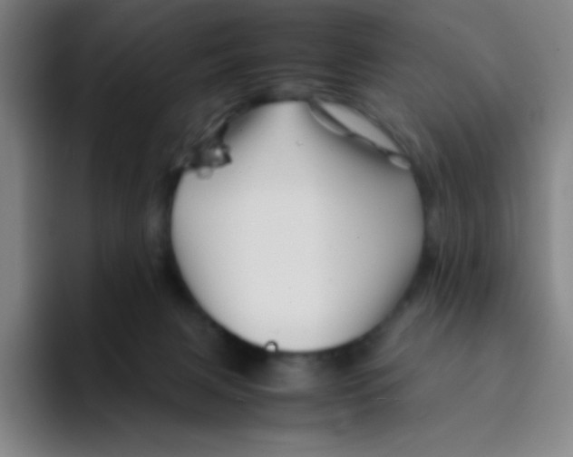 X0000094930079200712271601