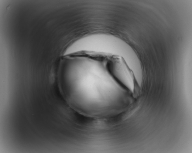 X0000094930080200712271601