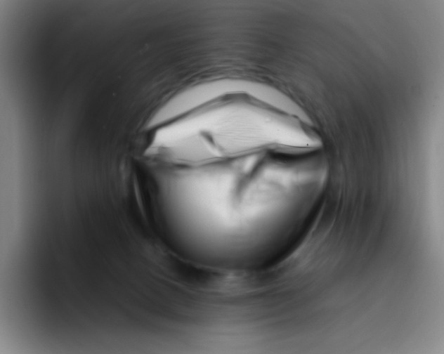 X0000094930082200712271601